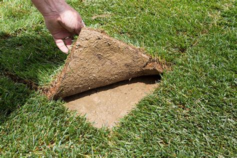 If it's dry one week, water additional times. Water Your Lawn... The Right Way. » BigYellowBag Blog