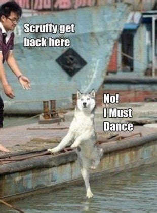 Happy Dance Memes To Put A Smile On Your Face SayingImages Com