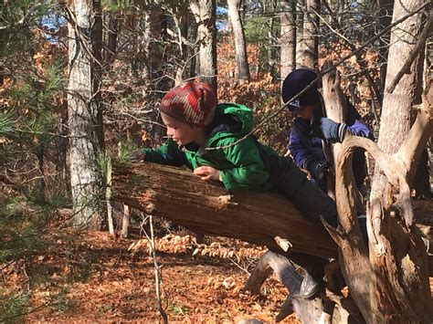 The Benefits Of Outdoor Free Play — Waldorf School Of Cape Cod