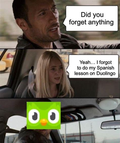 Duolingo Memes Funny Duolingo Memes That Are Slightly Threatening Sexiz Pix