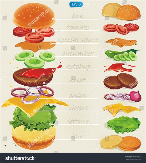 Fastfood Hamburger Ingredients With Text Vector Illustration