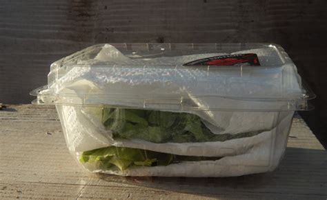 Keep Lettuce Fresh With Kitchen Hack 15 Minute Cheapskate