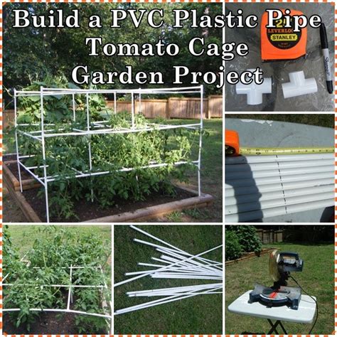 Build A Pvc Plastic Pipe Tomato Cage Garden Project The Homestead