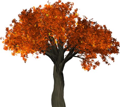 Tree Leaves Autumn · Free image on Pixabay png image