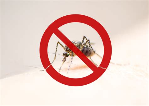 Ban The Bite Mosquito Pest Control Hometeam Pest Defense