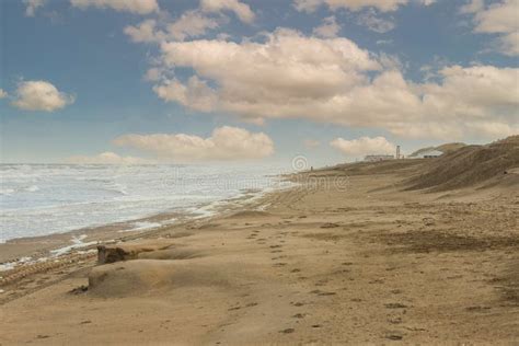 Coastal Landscape Of The Dutch North Sea Coast Near Noordwijk Aan Zee