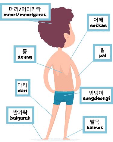 Woman Body Parts Name In Urdu / Human Body Parts Names In English And