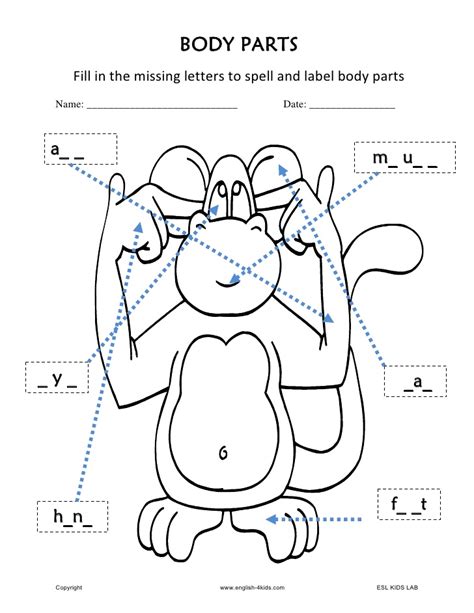 C is for chest (body) c is for chin. Bodyparts monkey