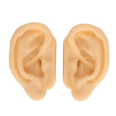Silicone Ear Model Lifelike Soft Left Right Ear Piercing Practice Model