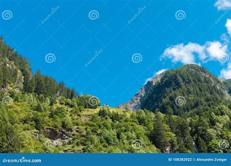 Landscape Forest And Blue Sky In Switzerland Stock Photo Image Of