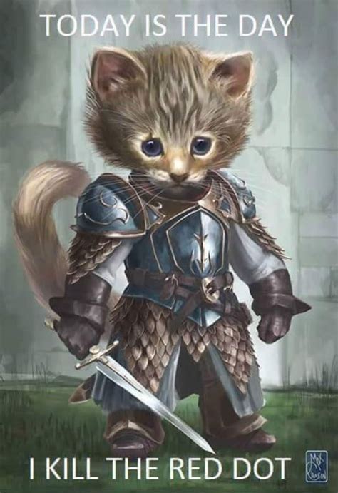 Knight Cat Ready For Battle Chasing The Red Dot Funny Funny