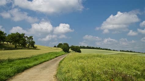 Pathway In Between Of Green Grass Field · Free Stock Photo