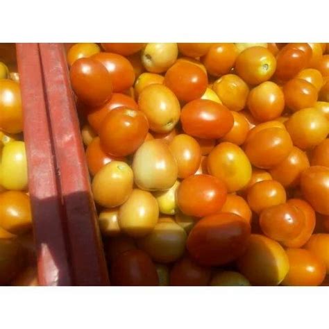 Organic Farm Tomato At Rs 330carat ऑर्गेनिक टमाटर In Nashik Id
