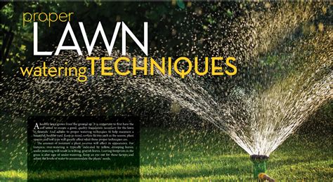 Watering Techniques For The Lawn Lawn Watering Outdoor