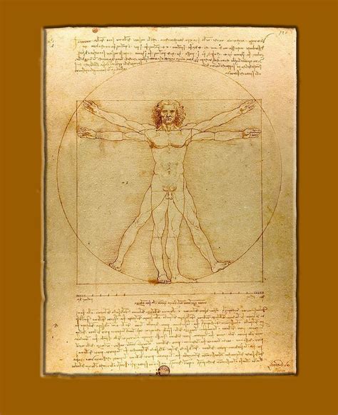 Leonardo Da Vinci The Vitruvian Man Naked Circle C My XXX Hot Girl