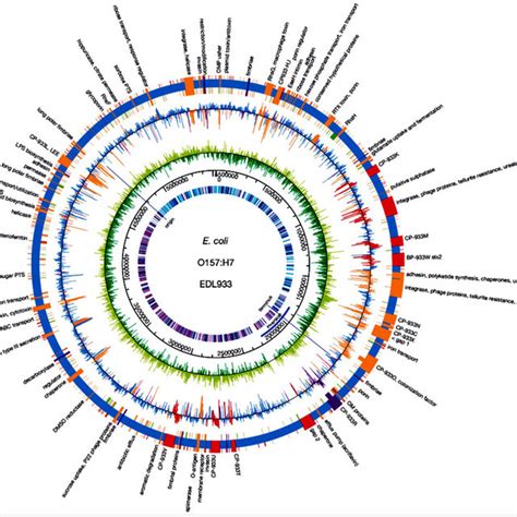 Circular Genome Map Of Edl Pathogenic Strain Compared With