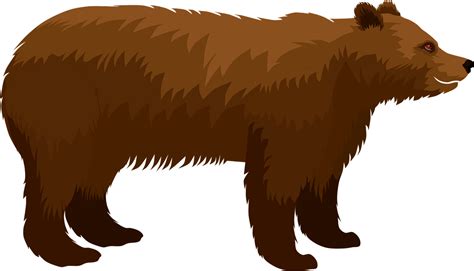 Braunbär Bär Tier Kostenlose Vektorgrafik auf Pixabay