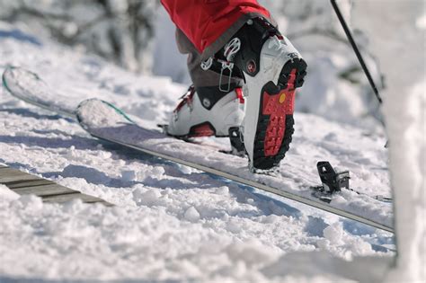 La Guía Definitiva Para Preparar Tu Material De Esquí O Snow
