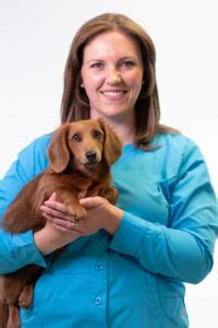 Freindly, dedicated college park vet clinic. Apex, NC Veterinarians | Harmony Animal Hospital