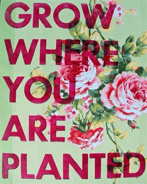 Grow Where You Are Planted In§piration Pinterest