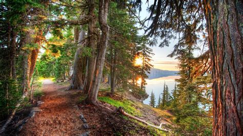 Nature Hdr Landscape Lake Trees Forest Path Dirt