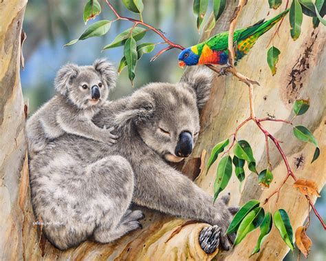 Koala Phascolarctos Cinereus With Her Joey And A Rainbow Lorikeets