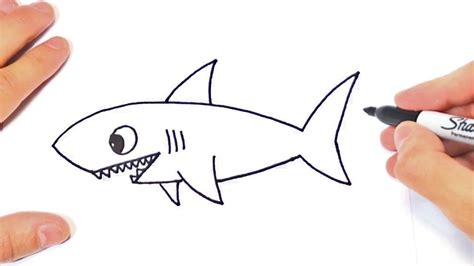 How To Draw A Shark Step By Step Shark Drawing Lesson Youtube