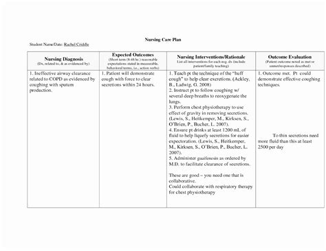 30 Examples Of Nursing Care Plans Example Document Template