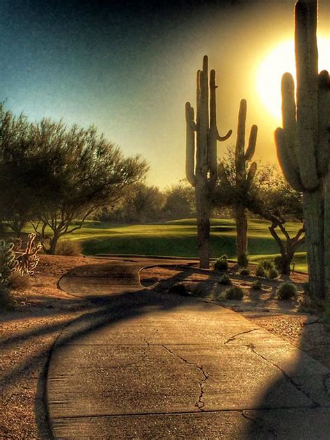 Flowers & gift baskets for scottsdale. Cactus Blooms: Scottsdale, Arizona