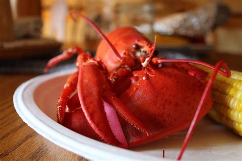 Travel Bloggers Weigh In: Where to Find the Best Lobster in Portland