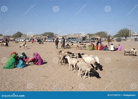 The Livestock Market Editorial Image Image Of Somalia