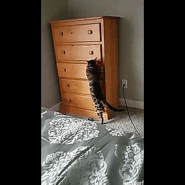 Page 2 of latest drawer gifs on primogif.com. 10 útiles cosas para las que puedes usar el papel ...