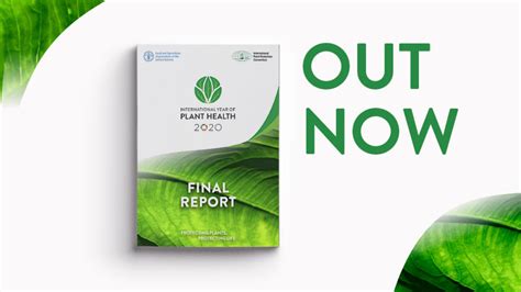 International Year Of Plant Health 2020 Fao Food And Agriculture