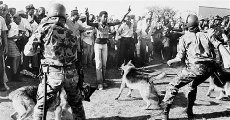 Twitter Users Reflect On Human Rights Day And The Sharpeville Massacre