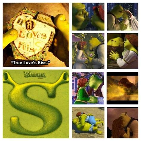 True Loves Kiss Shrek And Fiona Princesa Fiona