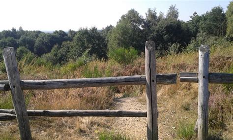In the course of these years we have gained our excellent reputation as a. Lees meer over Nationaal Park Hoge Kempen
