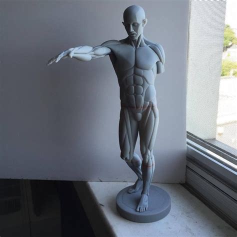 Anatomy Statue Art Art Background Kunst Performing Arts