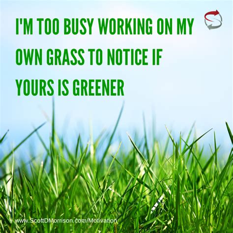 The biggest excuse of them all. I'm too busy working on my own grass to notice if yours is ...