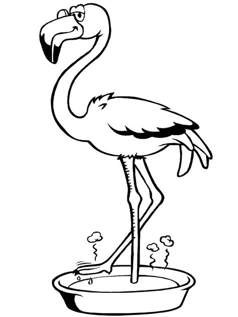 Flamingo Coloring Pages - Best Coloring Pages For Kids