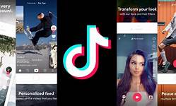 How to a large number of TikTok followers helps you in competition with ...