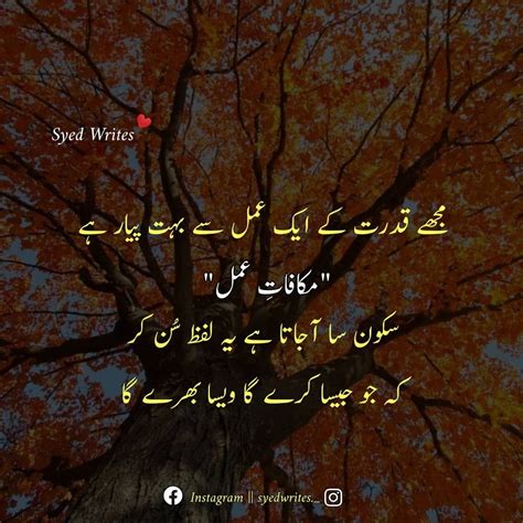 222 Likes 65 Comments Urdu Poetry Official Syedwrites On