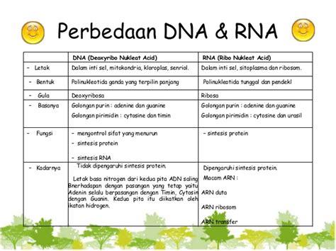 BEBAS PERBEDAAN DNA DAN RNA
