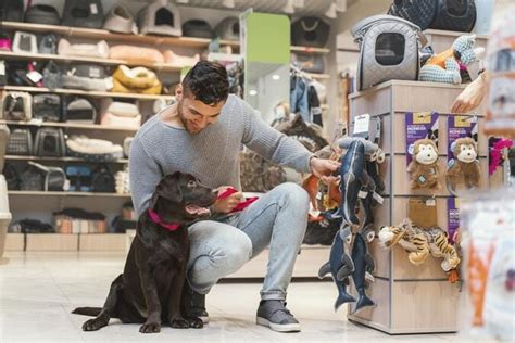 Melhores Sistemas Para Pet Shops Galax Pay