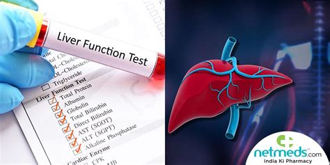 Liver Function Tests Know The Types How It Is Done And What To Expect