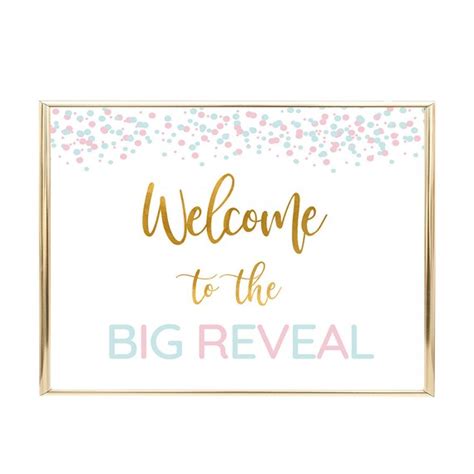Welcome To The Big Reveal Sign Gender Reveal Party Sign Gender