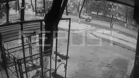 Самая большая арена, которую он собрал, составила 17,5 тысяч человек. Махмуд Мурадов о вероятности проведения предстоящего UFC 249
