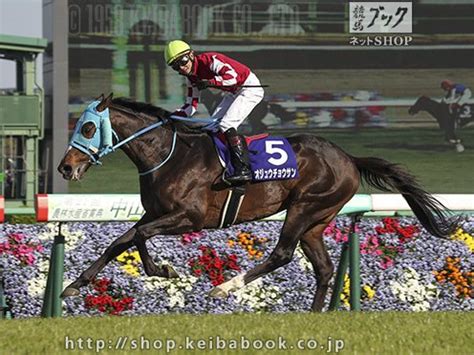 中山グランドジャンプ (なかやまグランドジャンプ)は、日本中央競馬会 (jra)が中山競馬場で施行する中央競馬の重賞競走 (j・gi)である。競馬番組表での名称は「農林水産省賞典 中山グランドジャンプ. 第21回 中山グランドジャンプ回顧 | 競馬 研究ニュース