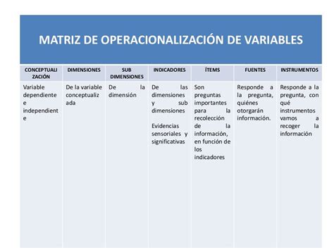 Operacionalizacion Matriz De Variables