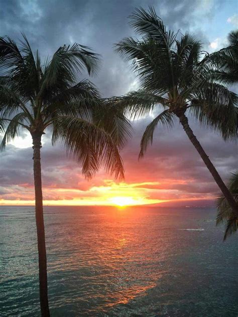 Hawaii Beach Scenery Sunset Reflection Beautiful Sunrise