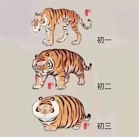 Evolution Of Tiger